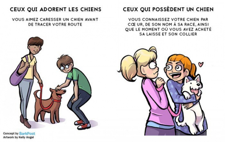 Illustration de l'article : Aimer un chien et en avoir un... Deux choses bien différentes ! Voici 7 différences flagrantes...