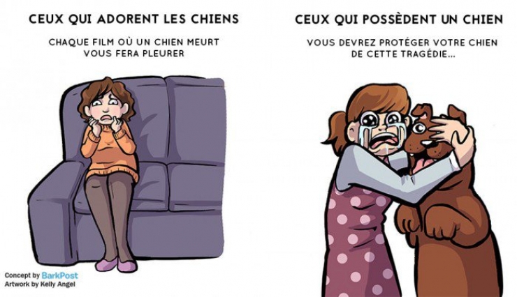 Illustration de l'article : Aimer un chien et en avoir un... Deux choses bien différentes ! Voici 7 différences flagrantes...