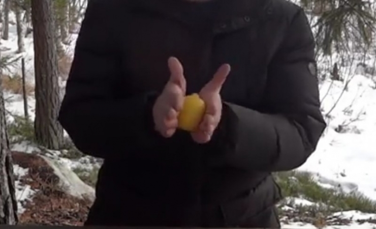 Illustration de l'article : Il enfonce des clous dans un citron pour nous présenter une astuce qui étonnera vos invités...