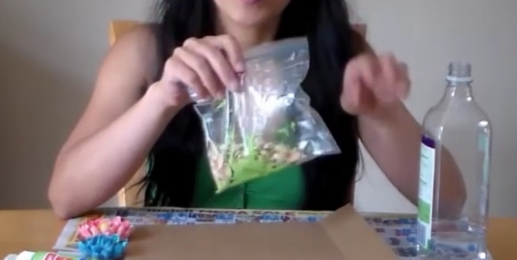 Illustration de l'article : Elle remplit un sac &agrave; cong&eacute;lation de coques de pistache et ce qu'elle pr&eacute;pare vaut de l'or !