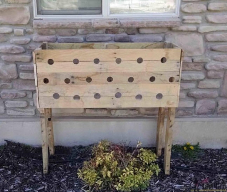 Illustration de l'article : Elle fait 19 trous dans une bo&icirc;te de bois et 5 mois plus tard son projet est g&eacute;nial...