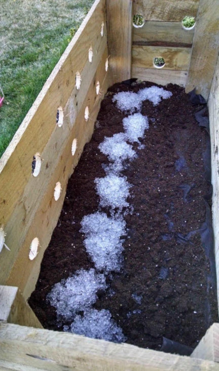 Illustration de l'article : Elle fait 19 trous dans une bo&icirc;te de bois et 5 mois plus tard son projet est g&eacute;nial...