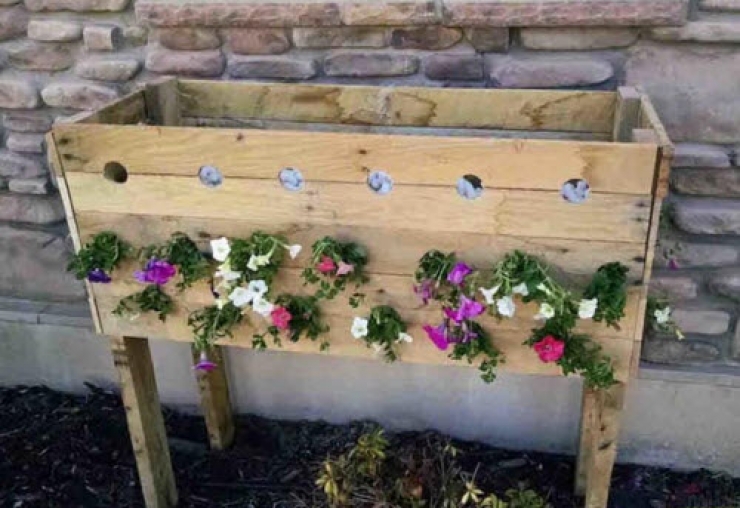 Illustration de l'article : Elle fait 19 trous dans une bo&icirc;te de bois et 5 mois plus tard son projet est g&eacute;nial...