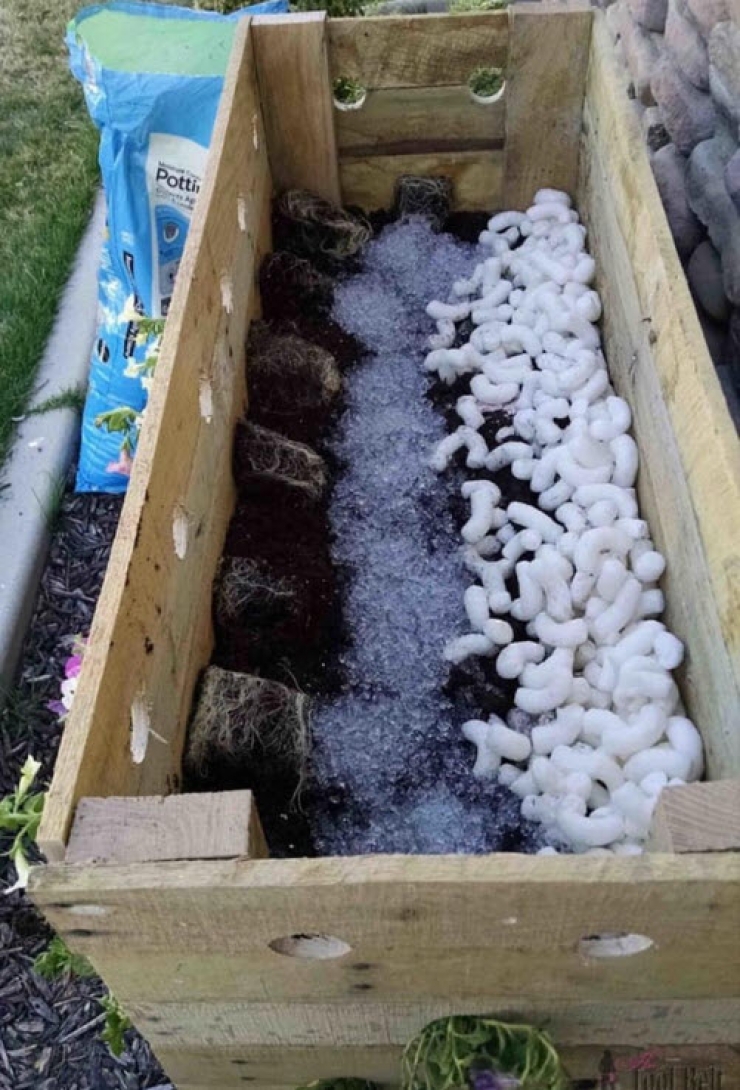 Illustration de l'article : Elle fait 19 trous dans une bo&icirc;te de bois et 5 mois plus tard son projet est g&eacute;nial...