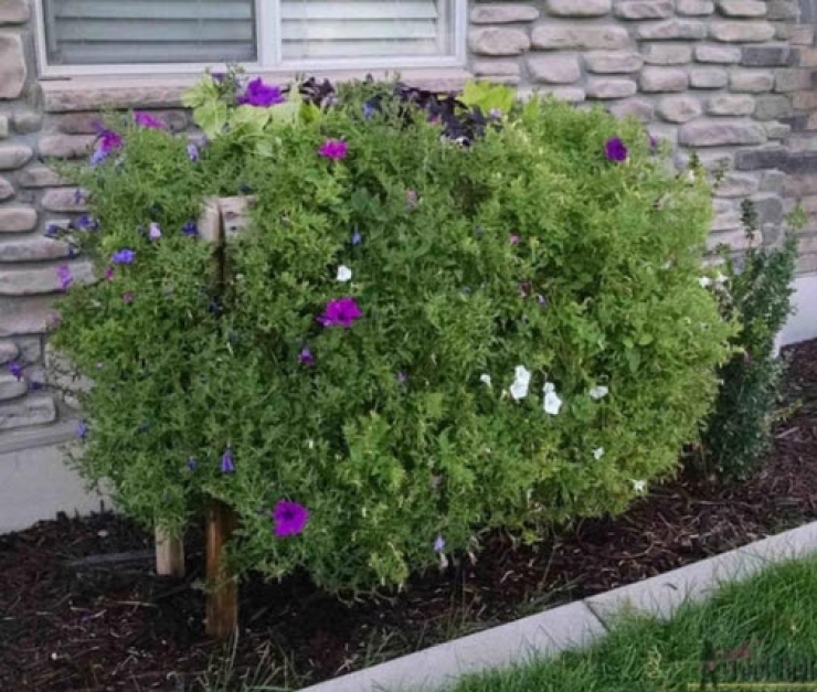 Illustration de l'article : Elle fait 19 trous dans une bo&icirc;te de bois et 5 mois plus tard son projet est g&eacute;nial...