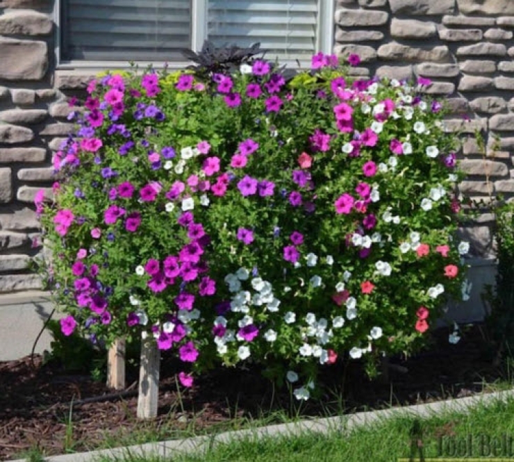 Illustration de l'article : Elle fait 19 trous dans une bo&icirc;te de bois et 5 mois plus tard son projet est g&eacute;nial...