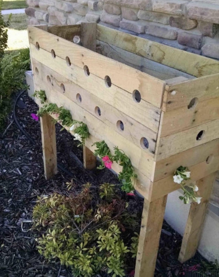 Illustration de l'article : Elle fait 19 trous dans une bo&icirc;te de bois et 5 mois plus tard son projet est g&eacute;nial...