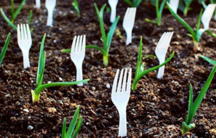 Illustration de l'article : Elle utilise des fourchettes en plastique qu'elle plante dans son jardin ! Une id&eacute;e de g&eacute;nie...