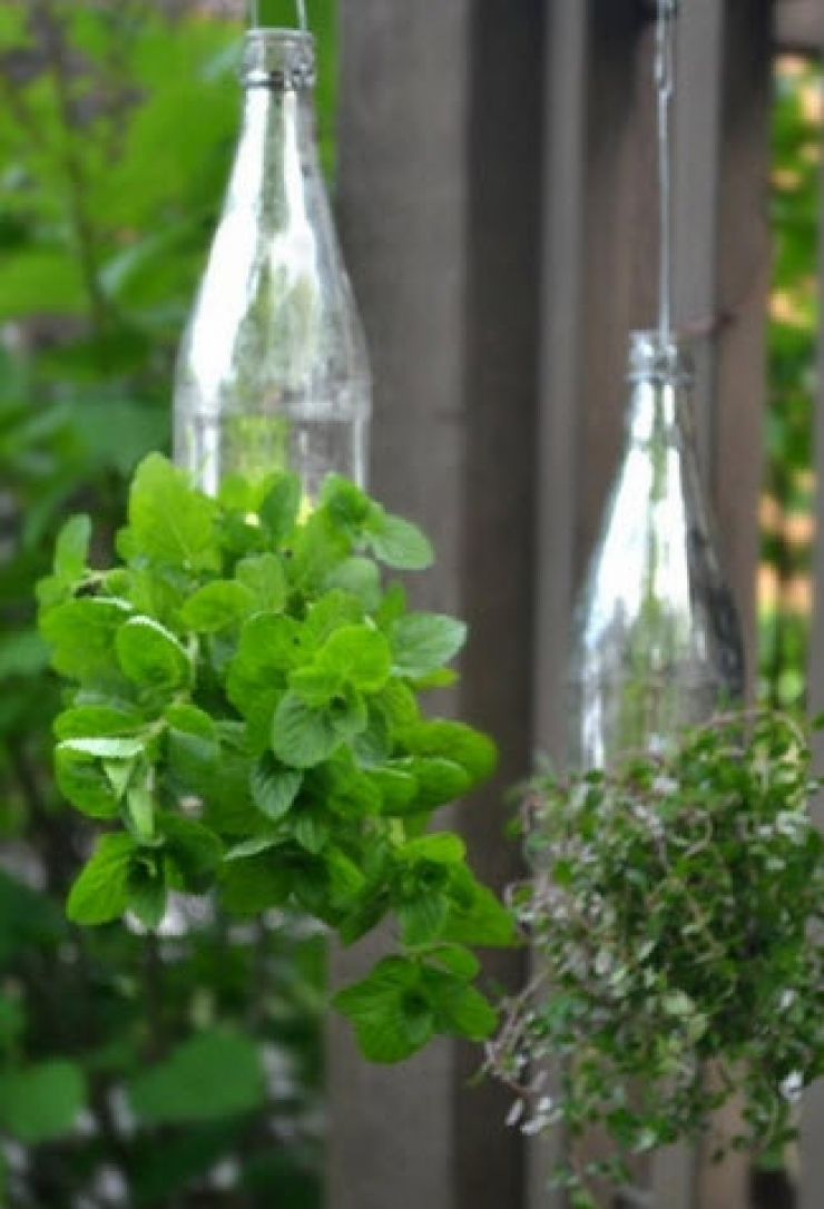 Illustration de l'article : Elle utilise des fourchettes en plastique qu'elle plante dans son jardin ! Une id&eacute;e de g&eacute;nie...