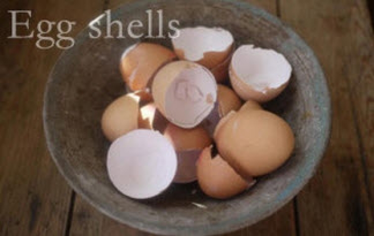 Illustration de l'article : Elle utilise des fourchettes en plastique qu'elle plante dans son jardin ! Une id&eacute;e de g&eacute;nie...