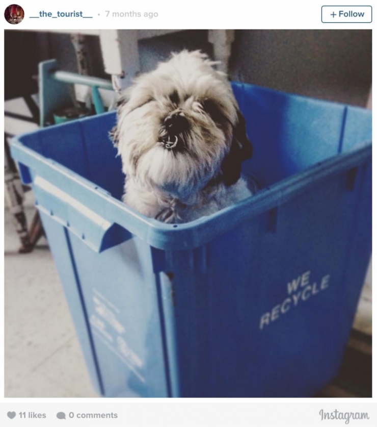 Illustration de l'article : Elle entre dans une maison abandonn&eacute;e et y fait une d&eacute;couverte qui brise le coeur !