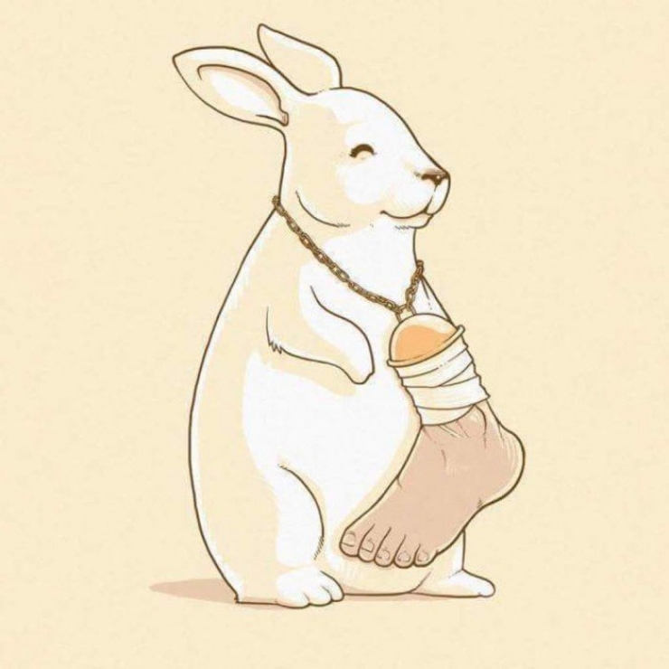 Illustration de l'article : La maltraitance envers les animaux, d&eacute;nonc&eacute;e &agrave; travers 19 photos assez choquantes !