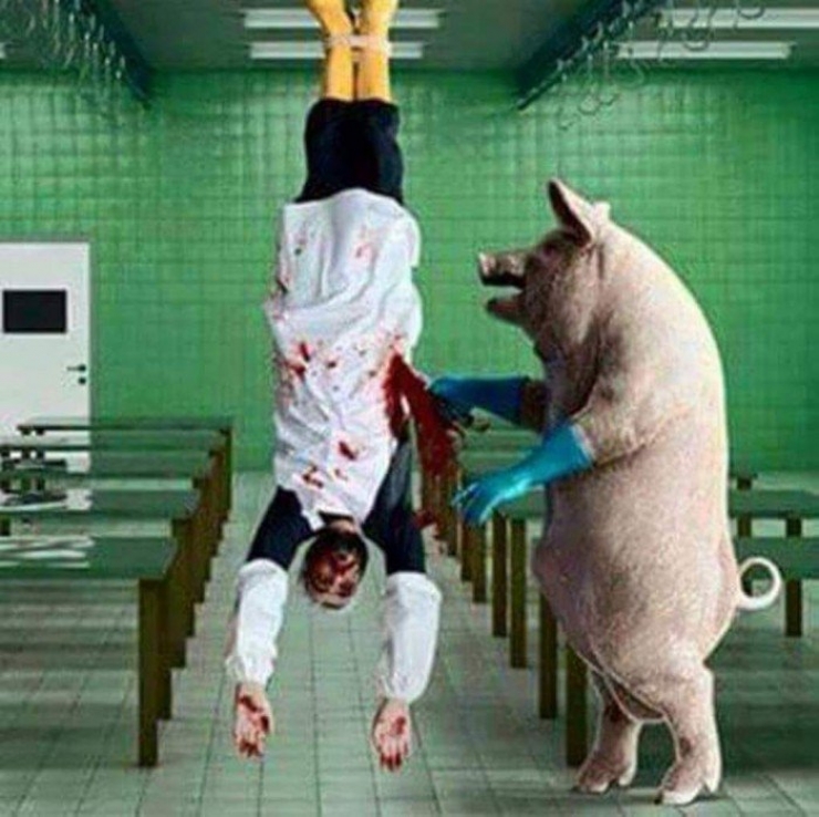 Illustration de l'article : La maltraitance envers les animaux, d&eacute;nonc&eacute;e &agrave; travers 19 photos assez choquantes !