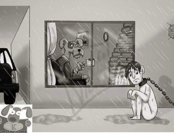 Illustration de l'article : La maltraitance envers les animaux, d&eacute;nonc&eacute;e &agrave; travers 19 photos assez choquantes !