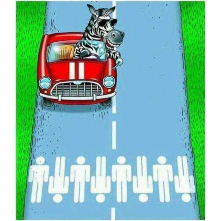 Illustration de l'article : La maltraitance envers les animaux, d&eacute;nonc&eacute;e &agrave; travers 19 photos assez choquantes !