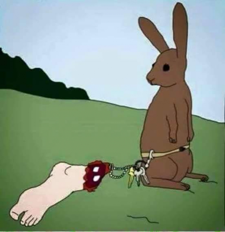 Illustration de l'article : La maltraitance envers les animaux, d&eacute;nonc&eacute;e &agrave; travers 19 photos assez choquantes !