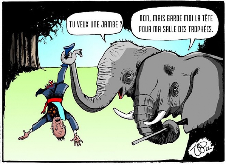 Illustration de l'article : La maltraitance envers les animaux, d&eacute;nonc&eacute;e &agrave; travers 19 photos assez choquantes !