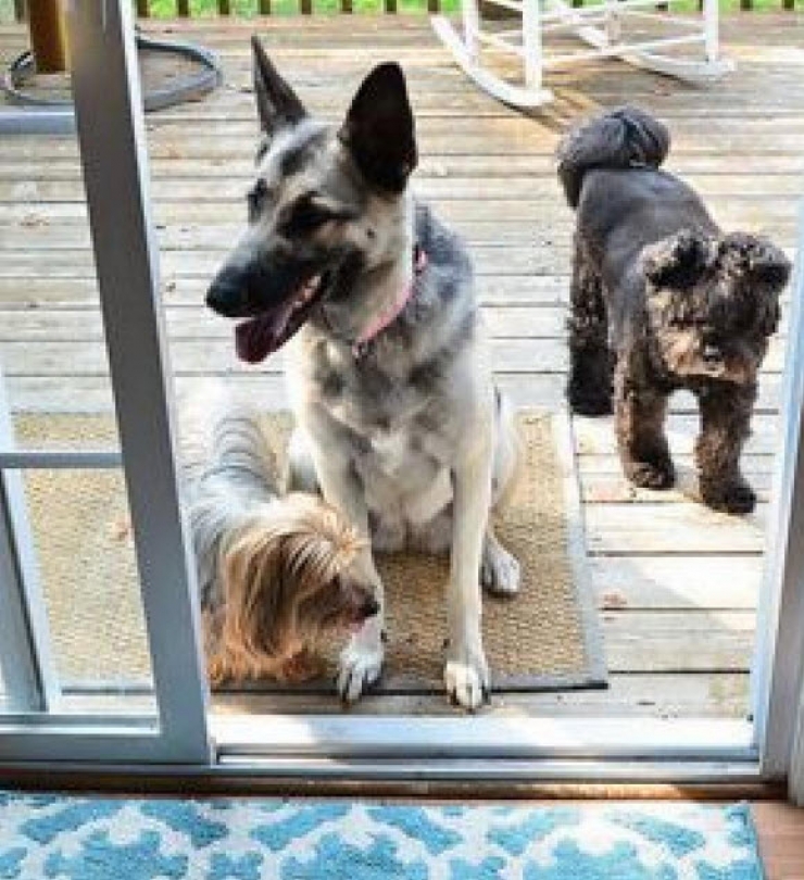 Illustration de l'article : Vous n'imaginez pas tout ce qu'on peut faire avec des lingettes pour b&eacute;b&eacute;s ! Voici 14 trucs &agrave; conna&icirc;tre ! 