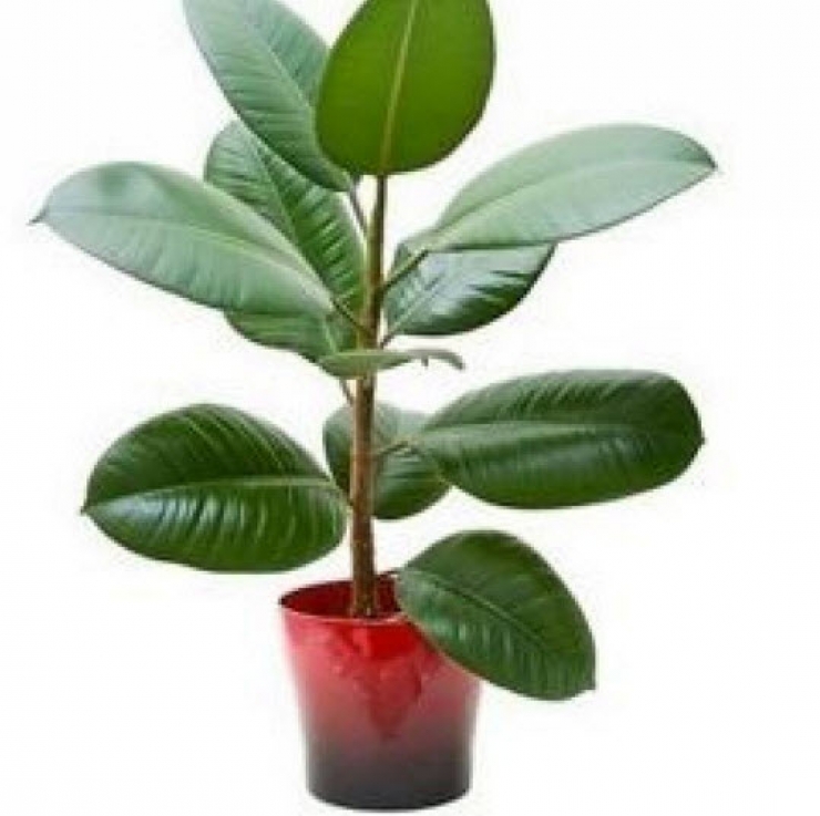 Illustration de l'article : Vous n'imaginez pas tout ce qu'on peut faire avec des lingettes pour b&eacute;b&eacute;s ! Voici 14 trucs &agrave; conna&icirc;tre ! 