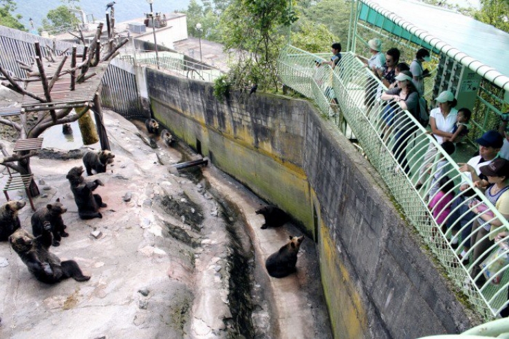 Illustration de l'article : 10 activités touristiques utilisant des animaux, à arrêter de toute urgence afin d’éviter la maltraitance animale !