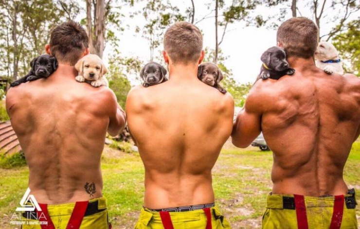 Illustration de l'article : Arr&ecirc;tez tout, c'est la minute chaude du jour avec ces sexy pompiers d'Australie ! (11 photos)