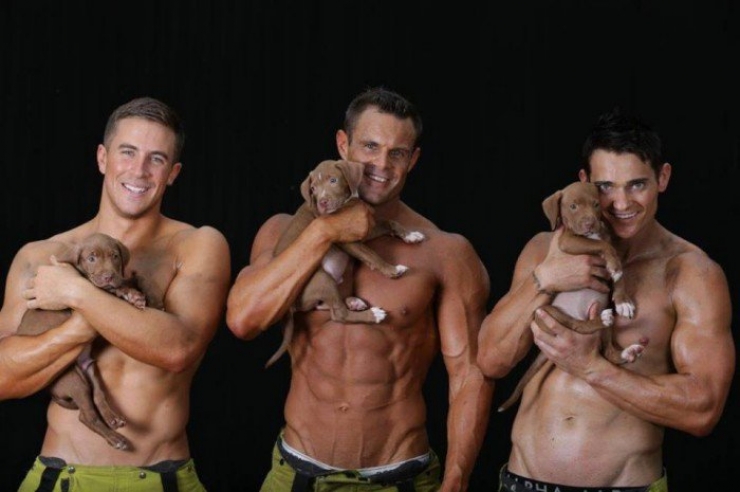Illustration de l'article : Arr&ecirc;tez tout, c'est la minute chaude du jour avec ces sexy pompiers d'Australie ! (11 photos)