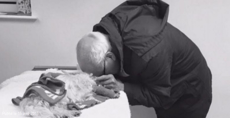 Illustration de l'article : &ldquo;Au propri&eacute;taire du chien qui a tu&eacute; Maisie&rdquo;, la lettre de cette femme m'a bris&eacute; le coeur...