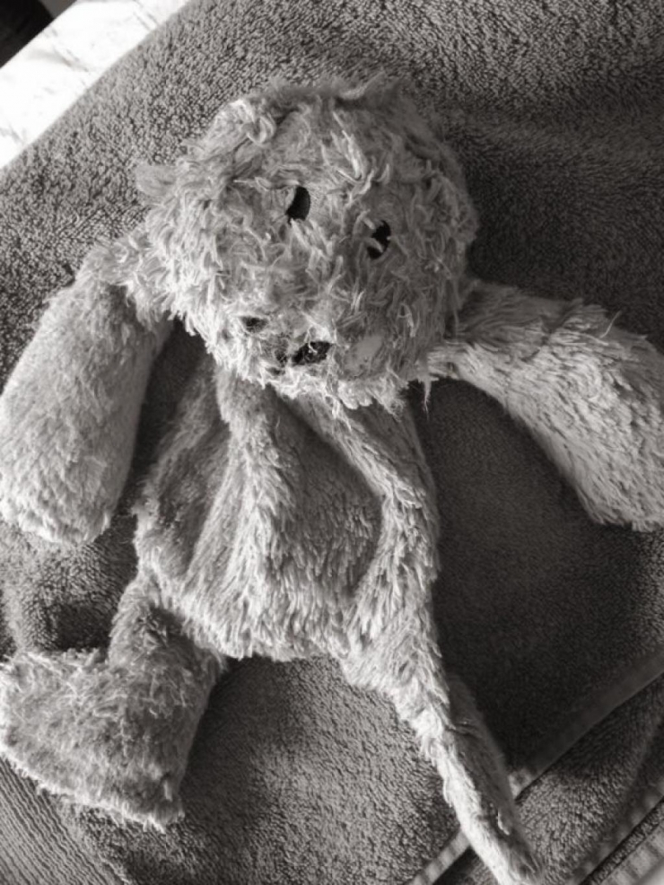 Illustration de l'article : &ldquo;Au propri&eacute;taire du chien qui a tu&eacute; Maisie&rdquo;, la lettre de cette femme m'a bris&eacute; le coeur...