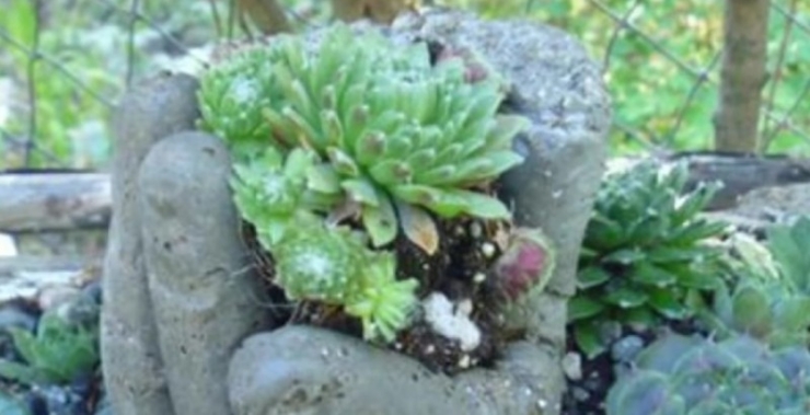 Illustration de l'article : Il met du ciment dans des gants en plastique, deux jours plus tard la d&eacute;co est impressionnante !