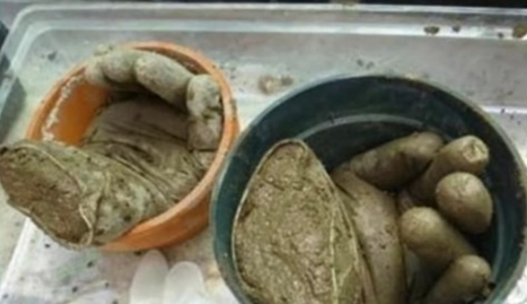 Illustration de l'article : Il met du ciment dans des gants en plastique, deux jours plus tard la d&eacute;co est impressionnante !