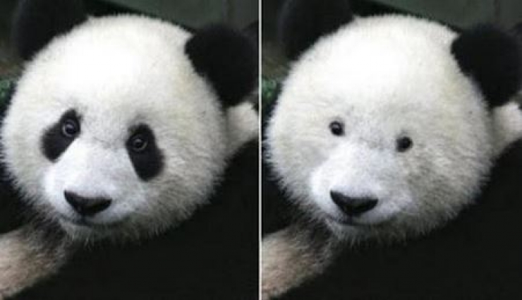 Illustration de l'article : Seuls ceux qui portent des lunettes pourront comprendre ces 14 gal&egrave;res...