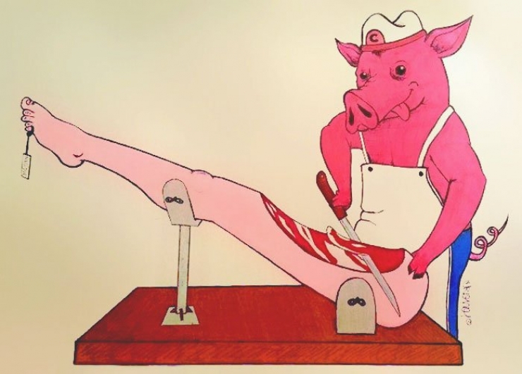 Illustration de l'article : Humour grinçant et criant de vérité pour dénoncer les agissements contre les animaux... Inversons les rôles !