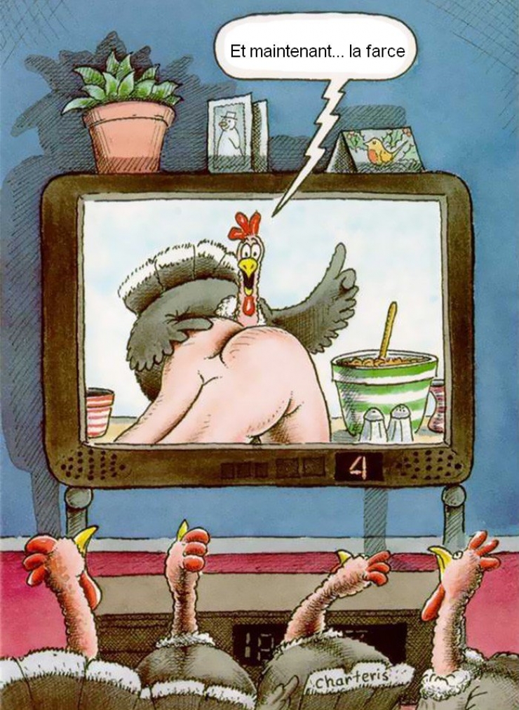 Illustration de l'article : Humour grinçant et criant de vérité pour dénoncer les agissements contre les animaux... Inversons les rôles !