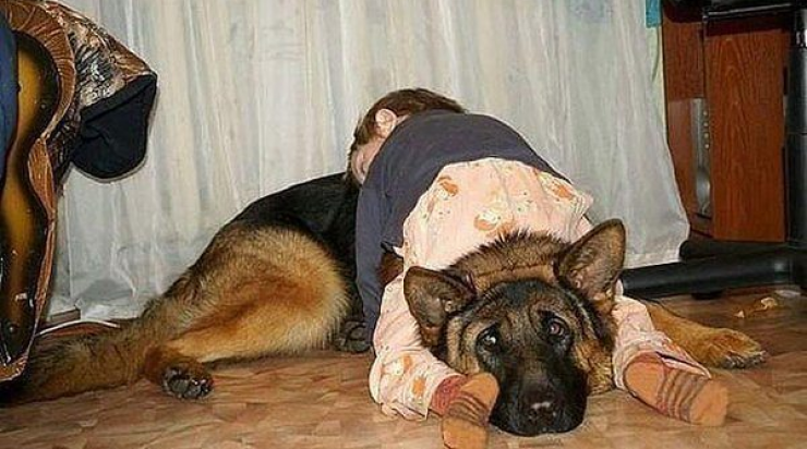 Illustration de l'article : Les enfants sont capables de s'endormir n'importe o&ugrave;. La preuve avec ces 25 photos !