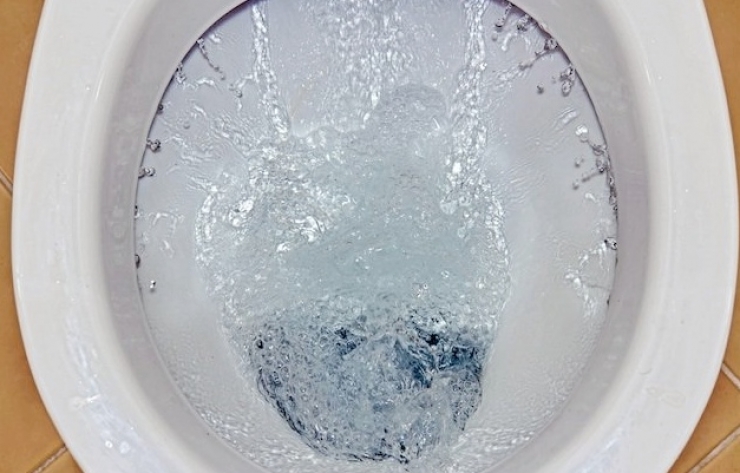 Illustration de l'article : Ne mettez plus JAMAIS de PQ sur vos toilettes, c'est loin d'&ecirc;tre hygi&eacute;nique...