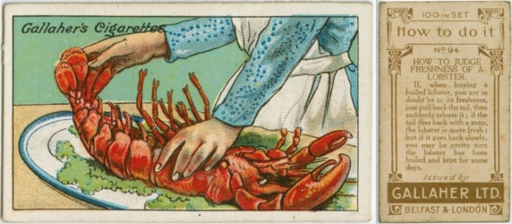 Illustration de l'article : &Agrave; voir ces 18 astuces de grands-m&egrave;res, on comprend qu'on &eacute;tait d&eacute;j&agrave; bien ing&eacute;nieux &agrave; l'&eacute;poque !