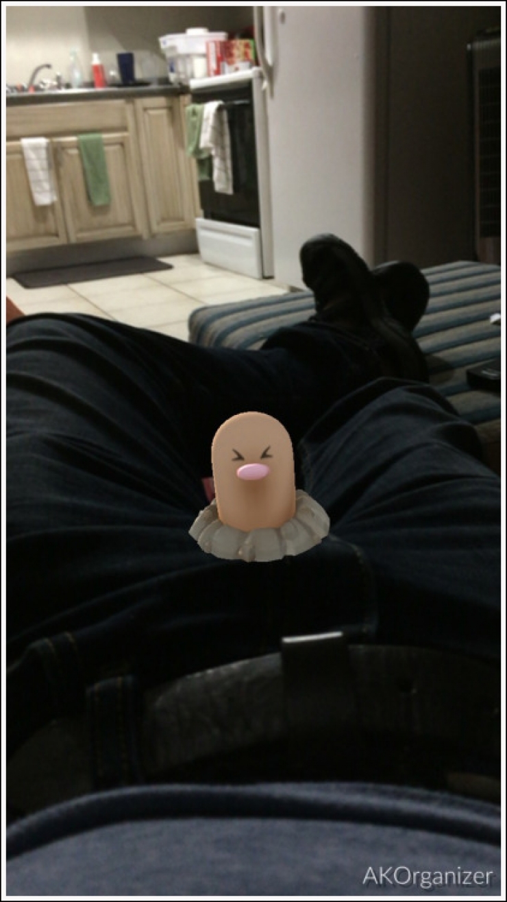 Illustration de l'article : Pokemon Go est-il devenu un jeu pour adulte ?