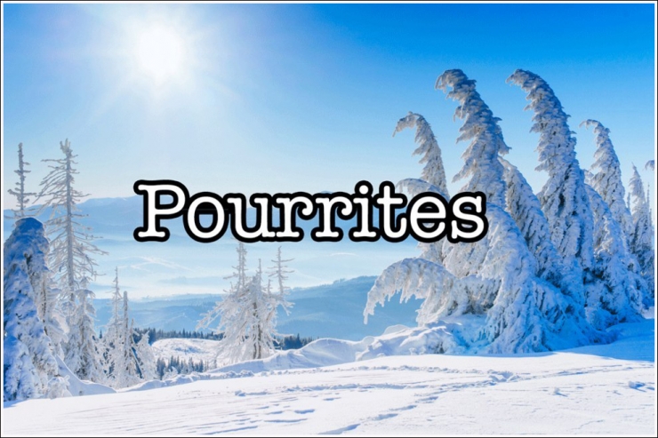 Illustration de l'article : STOP ! On entend beaucoup trop ces 20 fautes de fran&ccedil;ais et il faut que &ccedil;a cesse !