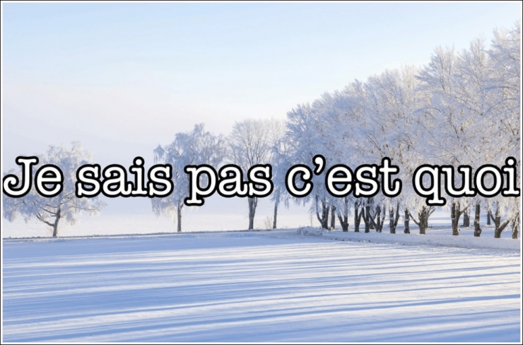 Illustration de l'article : STOP ! On entend beaucoup trop ces 20 fautes de fran&ccedil;ais et il faut que &ccedil;a cesse !