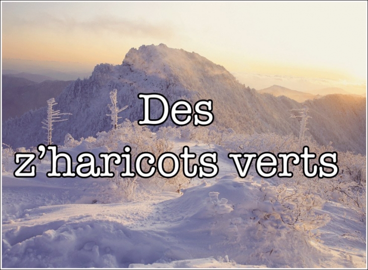 Illustration de l'article : STOP ! On entend beaucoup trop ces 20 fautes de fran&ccedil;ais et il faut que &ccedil;a cesse !