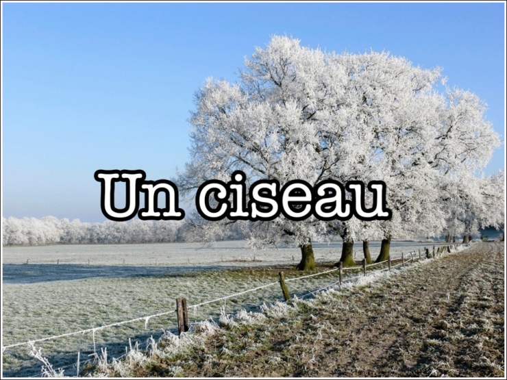 Illustration de l'article : STOP ! On entend beaucoup trop ces 20 fautes de fran&ccedil;ais et il faut que &ccedil;a cesse !