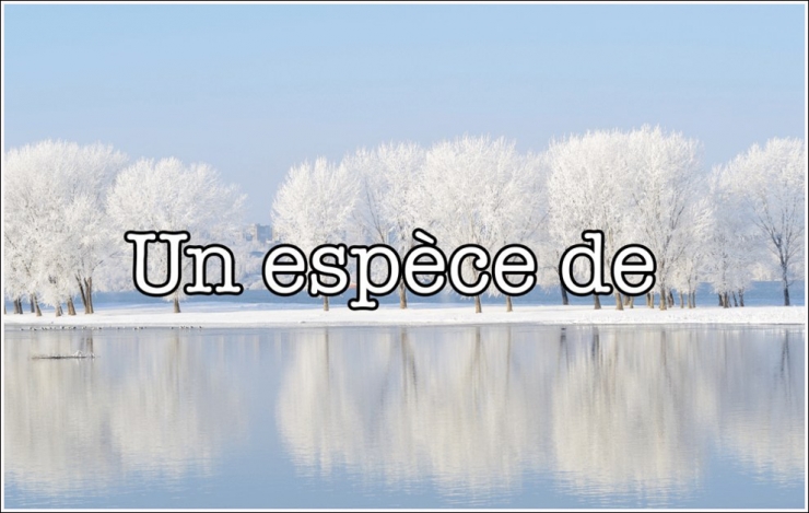 Illustration de l'article : STOP ! On entend beaucoup trop ces 20 fautes de fran&ccedil;ais et il faut que &ccedil;a cesse !