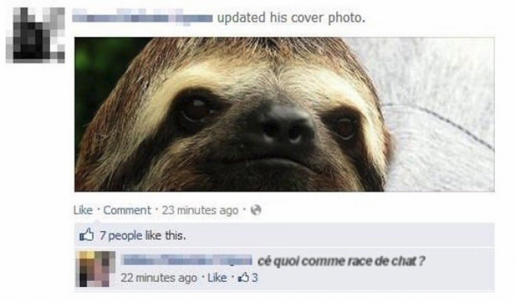 Illustration de l'article : L&rsquo;idiotie est un vilain d&eacute;faut et ces 20 photos nous le montrent bien !