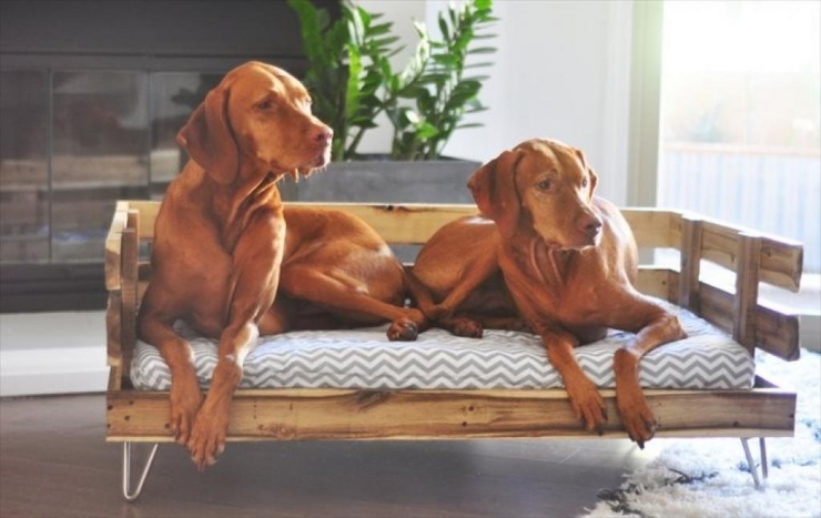 Illustration de l'article : Que faire avec du bois recycl&eacute; ? Ces 20 id&eacute;es merveilleuses devraient vous inspirer !