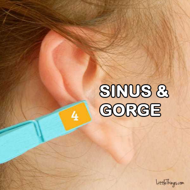 Illustration de l'article : 6 zones du corps que vous pouvez soulager en pla&ccedil;ant cette simple pince &agrave; linge au bon endroit sur votre oreille !