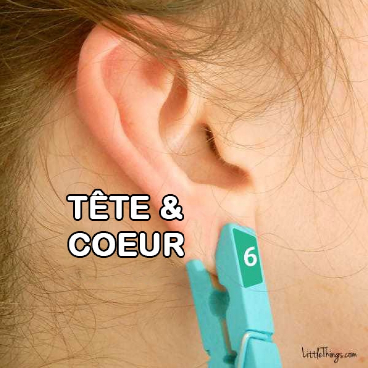 Illustration de l'article : 6 zones du corps que vous pouvez soulager en pla&ccedil;ant cette simple pince &agrave; linge au bon endroit sur votre oreille !