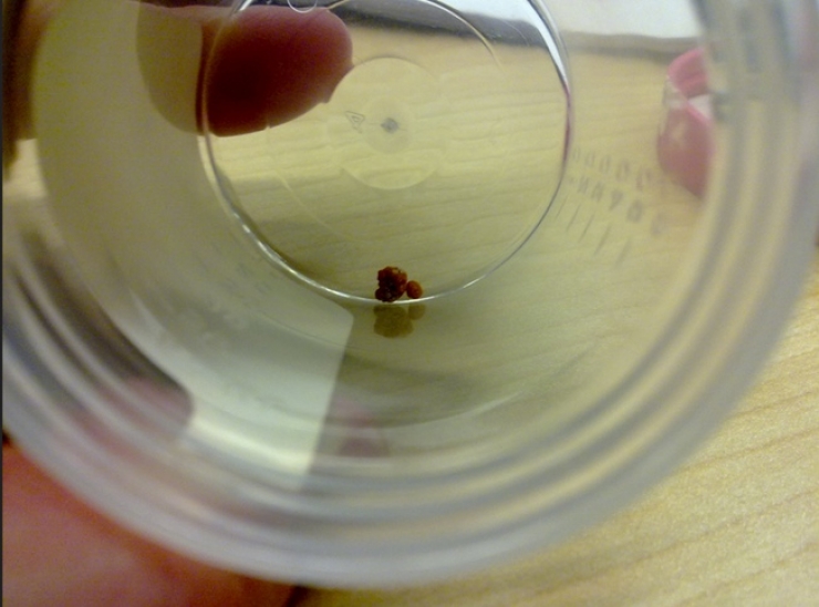 Illustration de l'article : 7 raisons qui prouvent que la bi&egrave;re c'est bon pour vous !