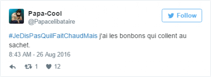 Illustration de l'article : #JeDisPAsQuilFaitChaudMais: 35 tweets tordants autour de ce hashtag caniculaire...