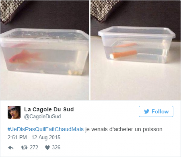 Illustration de l'article : #JeDisPAsQuilFaitChaudMais: 35 tweets tordants autour de ce hashtag caniculaire...