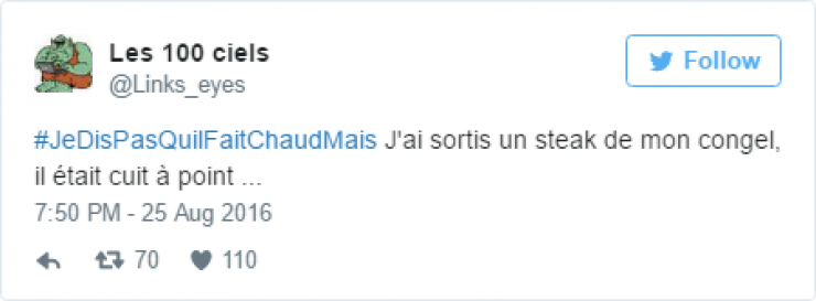 Illustration de l'article : #JeDisPAsQuilFaitChaudMais: 35 tweets tordants autour de ce hashtag caniculaire...